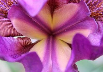 人到四十句子(热门40句)