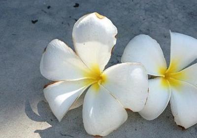 云南的小镇描写句子(实用30句)