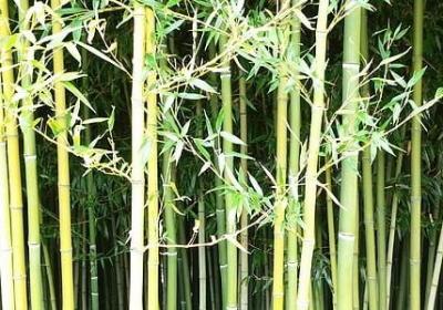 五一假期愉快的句子(优选80句)