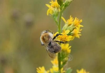 五字古文句子(通用20句)