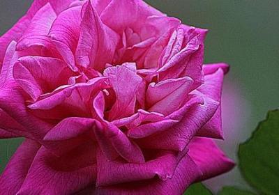 五年级下册英语句子表(热门117句)