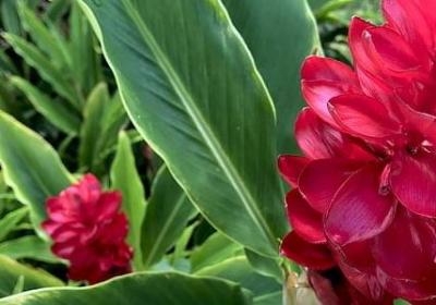 五年级排列句子(热门16句)