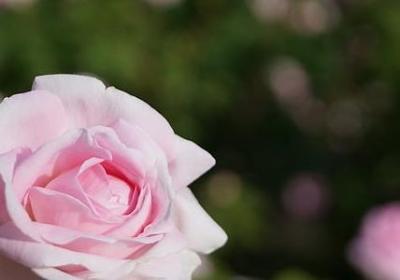 交谈用英语造句子(汇总51句)