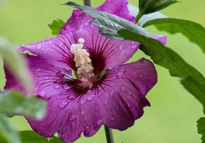 交头接耳搞笑句子大全(实用30句)