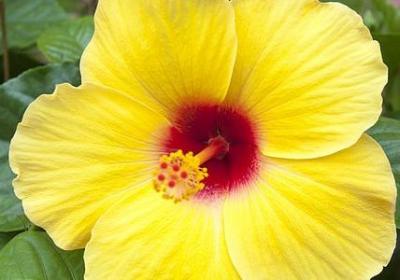 亲子游戏句子(20句)