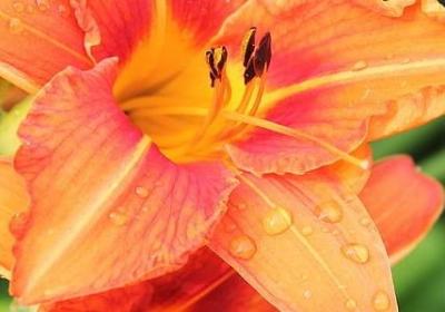 亲情奔赴的句子(实用50句)