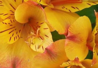 云朵配什么句子(通用60句)