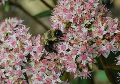 五一劳动节句子(推荐10句)