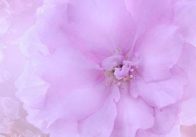 五一有哪些好句子(实用23句)