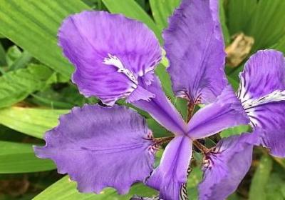 五一劳动节快乐简单句子(合集80句)