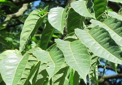 井字组词写句子(必备145句)