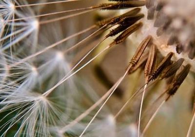 交叉点的句子(热门50句)