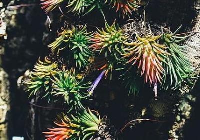 享受乐趣怎么写句子(合集70句)