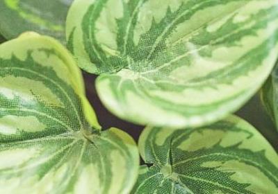 亮晶晶仿写句子(推荐20句)