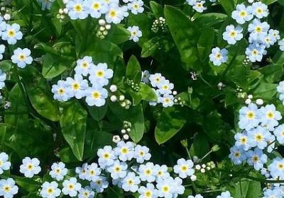 亲家不能高攀的句子(推荐50句)