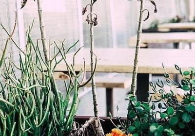 亲情高级句子经典(通用10句)