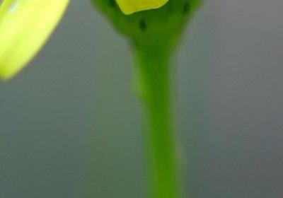 人不在物还在句子(汇总15句)