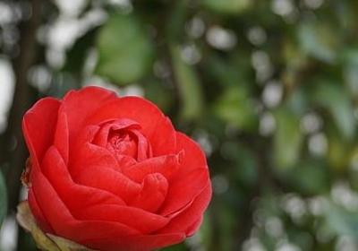 人为先的句子(共20句)