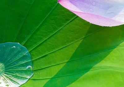 买保险句子(通用10句)