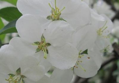 买新车句子(必备30句)