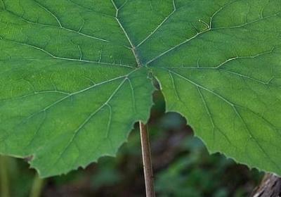 事态人凉句子(必备40句)