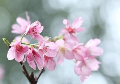 二者的句子(热门30句)