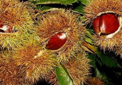 五个字的纹身句子(合集50句)