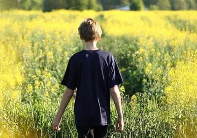 五年级英语下册的句子(合集40句)