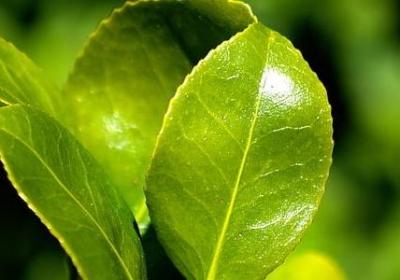 享受安静的句子(推荐20句)