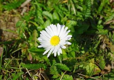 享受海风的唯美句子(热门40句)