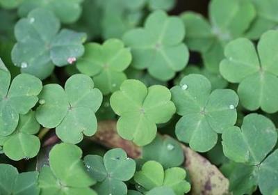 亲人冷漠的句子(必备30句)