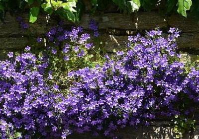 亲人聚餐唯美句子简短(汇总40句)