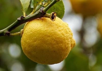 亲人误解的句子(推荐50句)