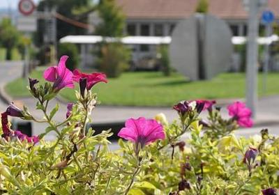 亲人偶遇的句子(共60句)