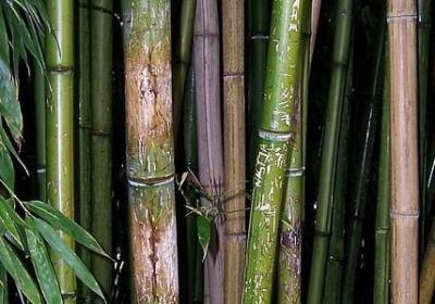 亲人的背叛的句子(热门80句)