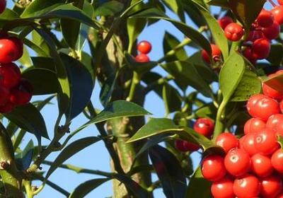 亲人重逢的经典句子(热门60句)