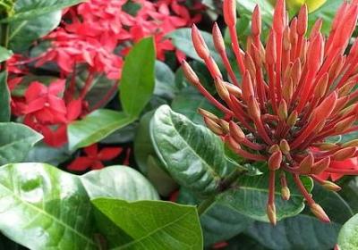 亲情友情的句子(共18句)