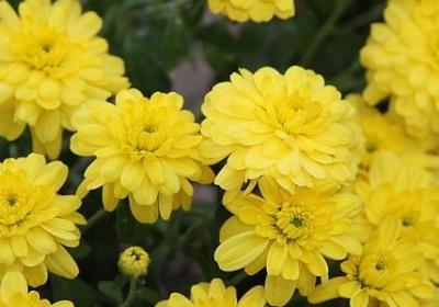 亲情游戏感悟句子(精选15句)