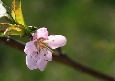人不要活的太累的句子(共20句)