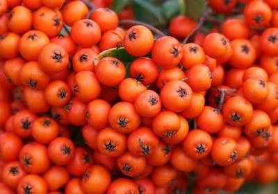 人到中年珍重的句子(实用20句)