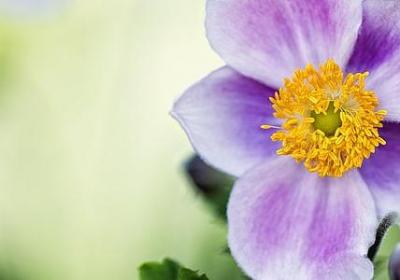 五句优美句子最短(实用15句)