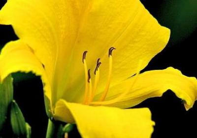 五月开心句子(热门40句)