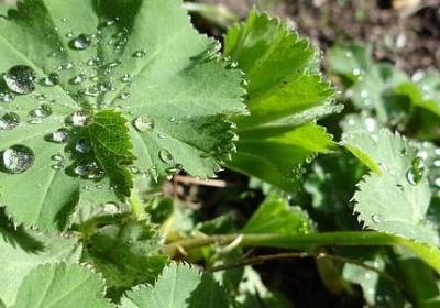 五年级语文优美的句子(优选80句)