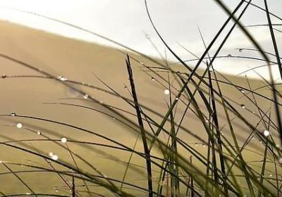 亲情唯美的句子(必备50句)