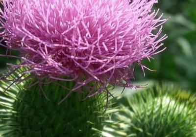 人不同道的句子(共60句)