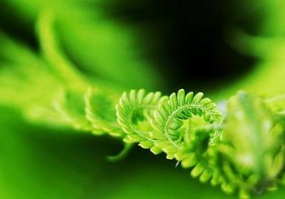 亲情句子加适应主题(共40句)