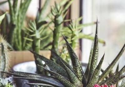 人不同的句子(通用60句)