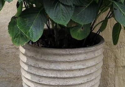 五一校园劳动句子(实用20句)