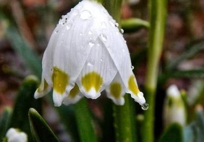 京吹的句子(共60句)