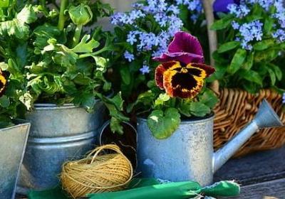 享受森林句子(合集40句)